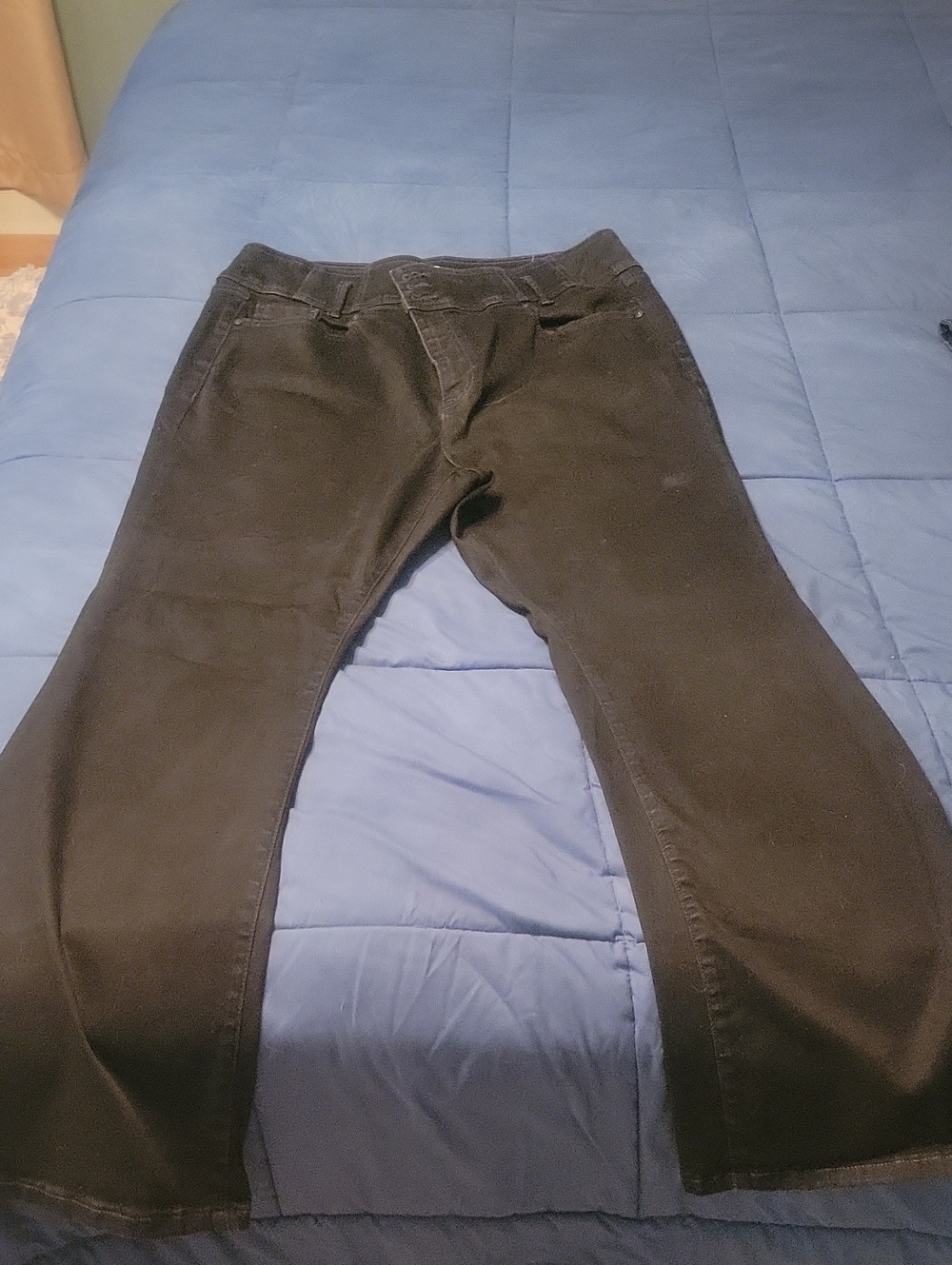 Lane Bryant Womens Black Flare Leg Jeans